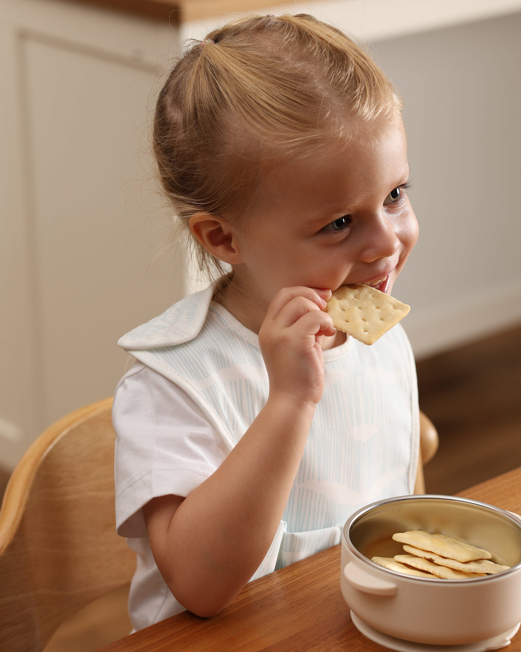 Mealtime Bib