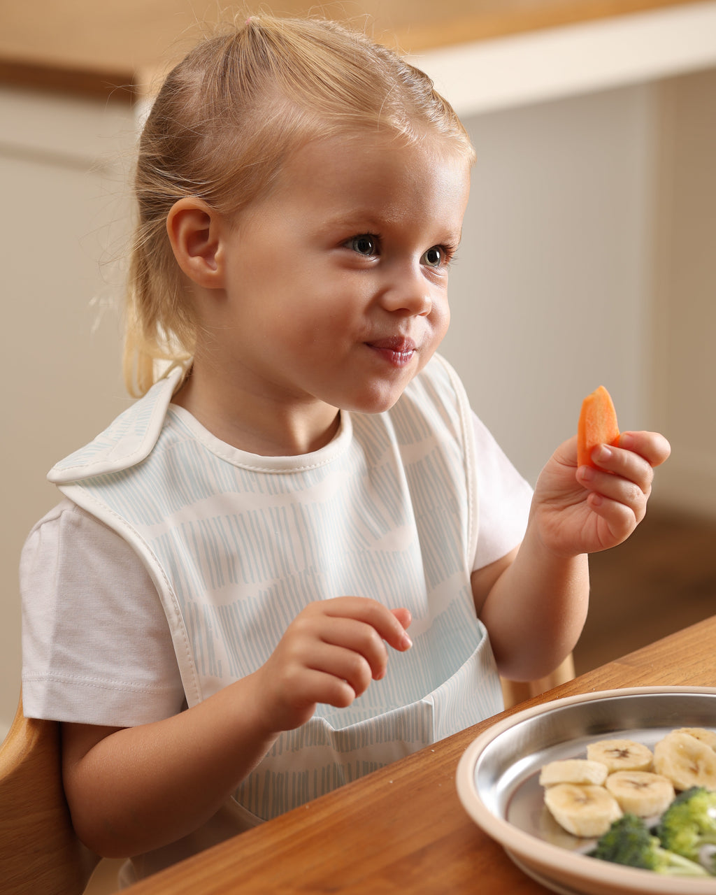 Mealtime Bib